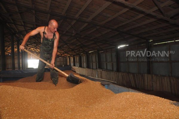 Сельхозпредприятие оштрафовали из-за превышений по пестицидам в Спасском округе