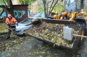 Кто должен убирать опавшую листву во дворах: разбираемся со специалистами Минстроя России 