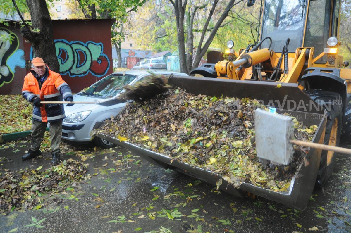 Нижегородцам объяснили, кто и как должен убирать листву во дворах
