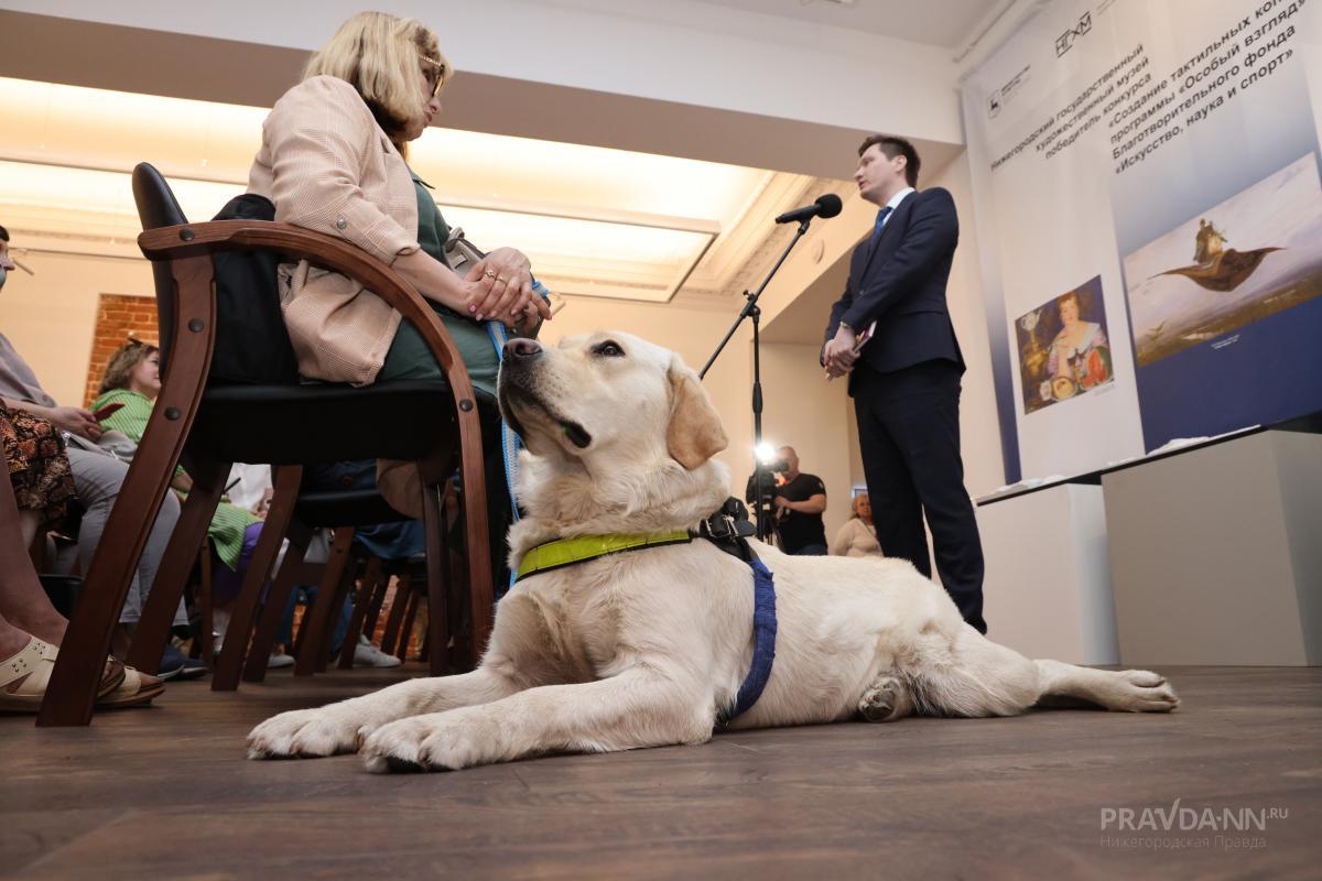16 незрячих нижегородцев обеспечили собаками-поводырями