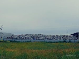 176 нелегальных свалок обнаружили в нижегородских лесах в 2025&nbsp;году