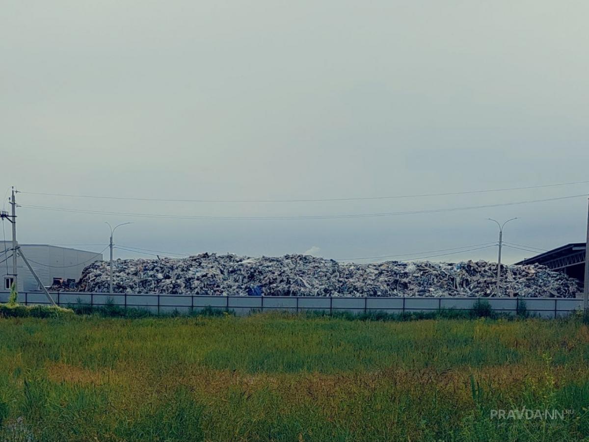 176 нелегальных свалок обнаружили в нижегородских лесах в 2025 году