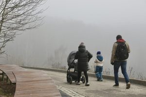 6,6 тысячи нижегородских семей получают родительский основной доход