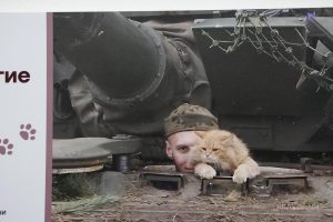 Выставка «Четвероногие защитники Отечества» о котиках и собаках на СВО