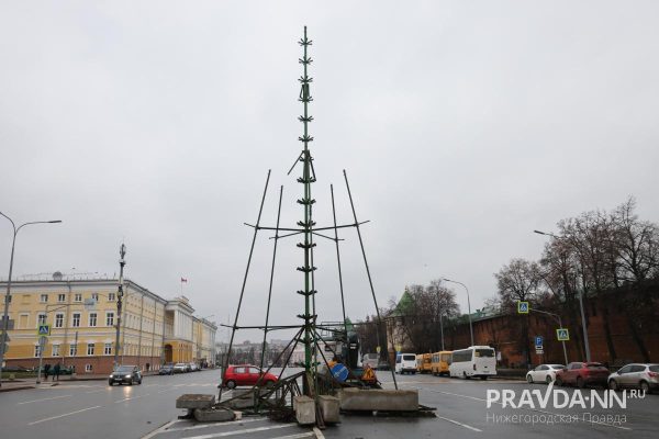 Главную новогоднюю елку устанавливают на площади Минина и Пожарского