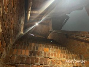 Анастасия Красушкина