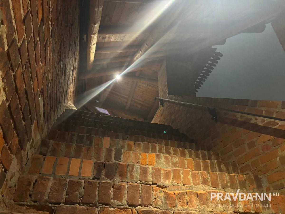 Анастасия Красушкина