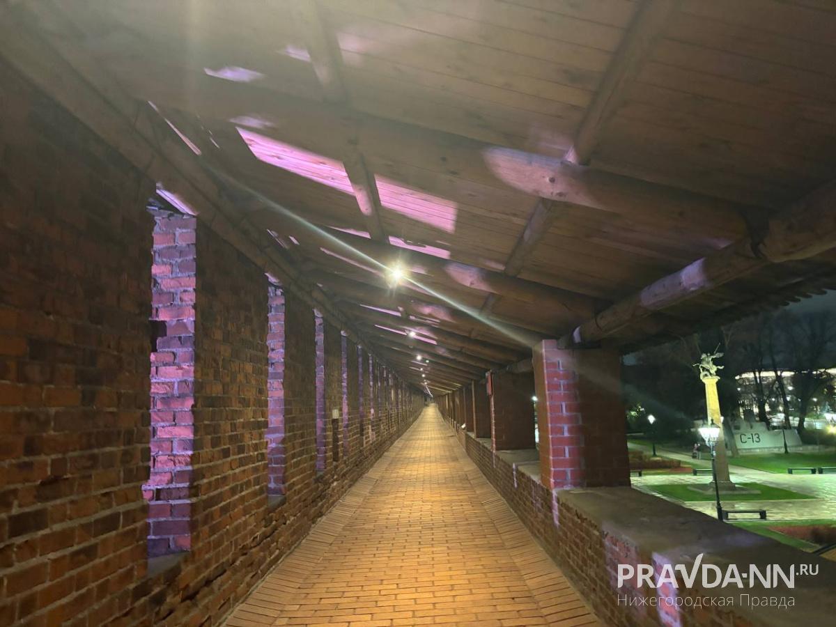 Анастасия Красушкина