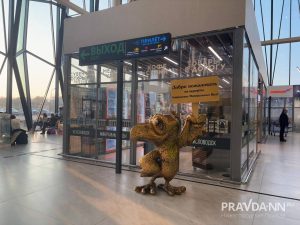 Анастасия Красушкина