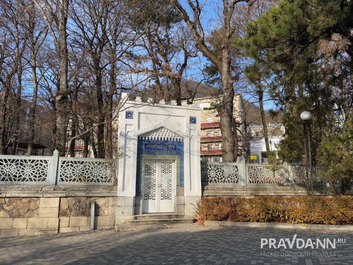 Фото: Анастасия Красушкина