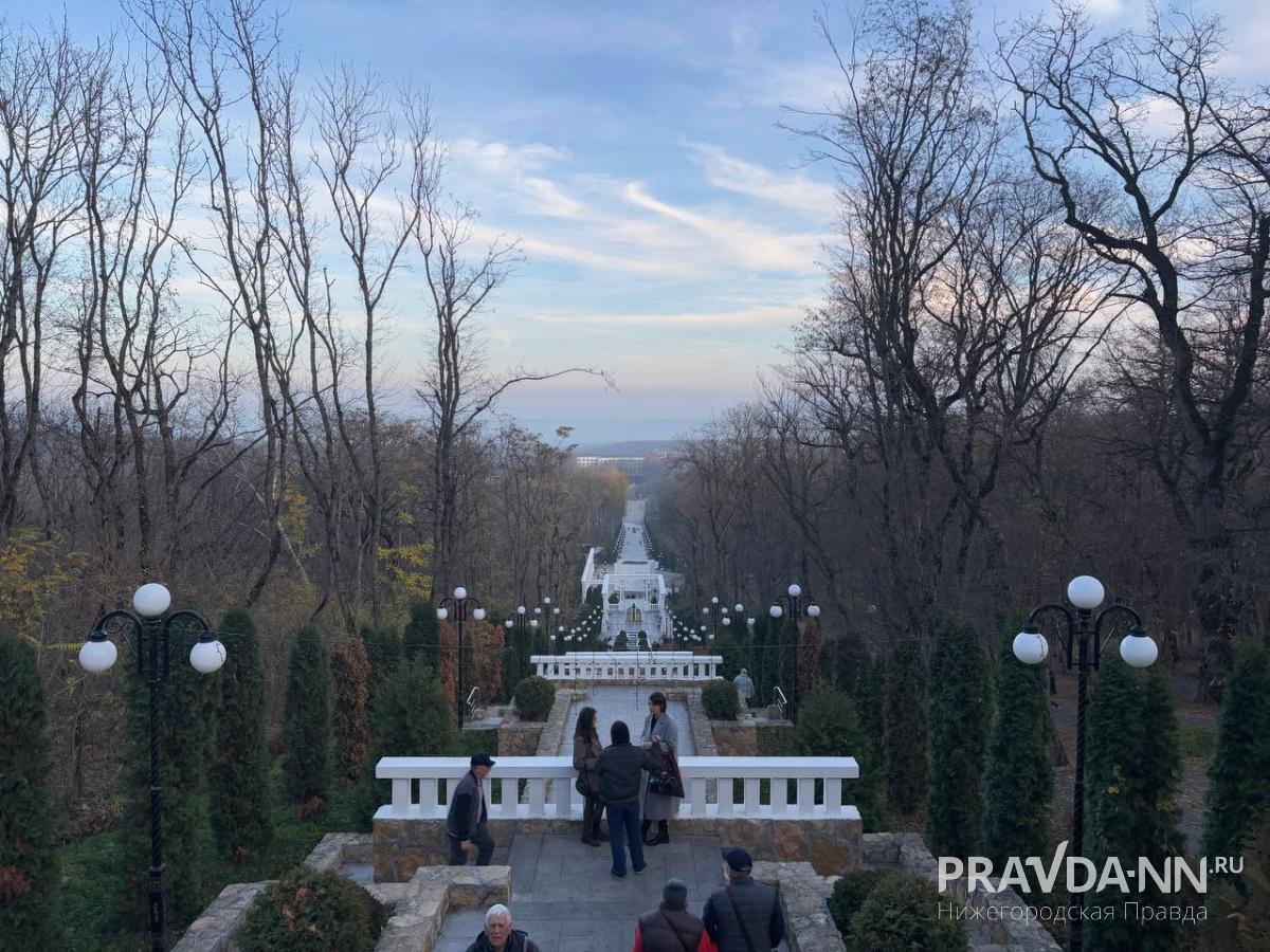 Анастасия Красушкина