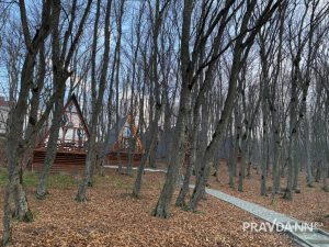 Анастасия Красушкина