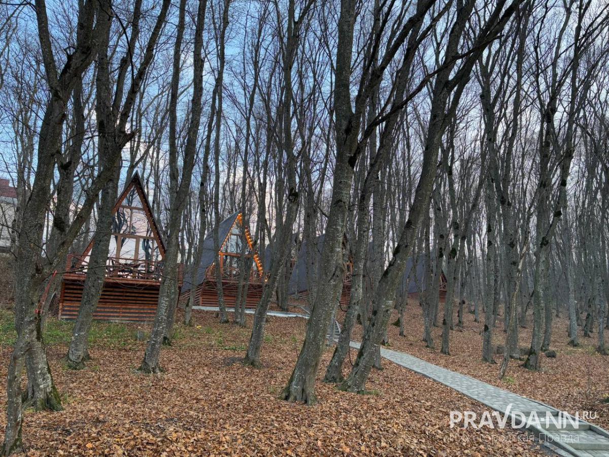 Анастасия Красушкина