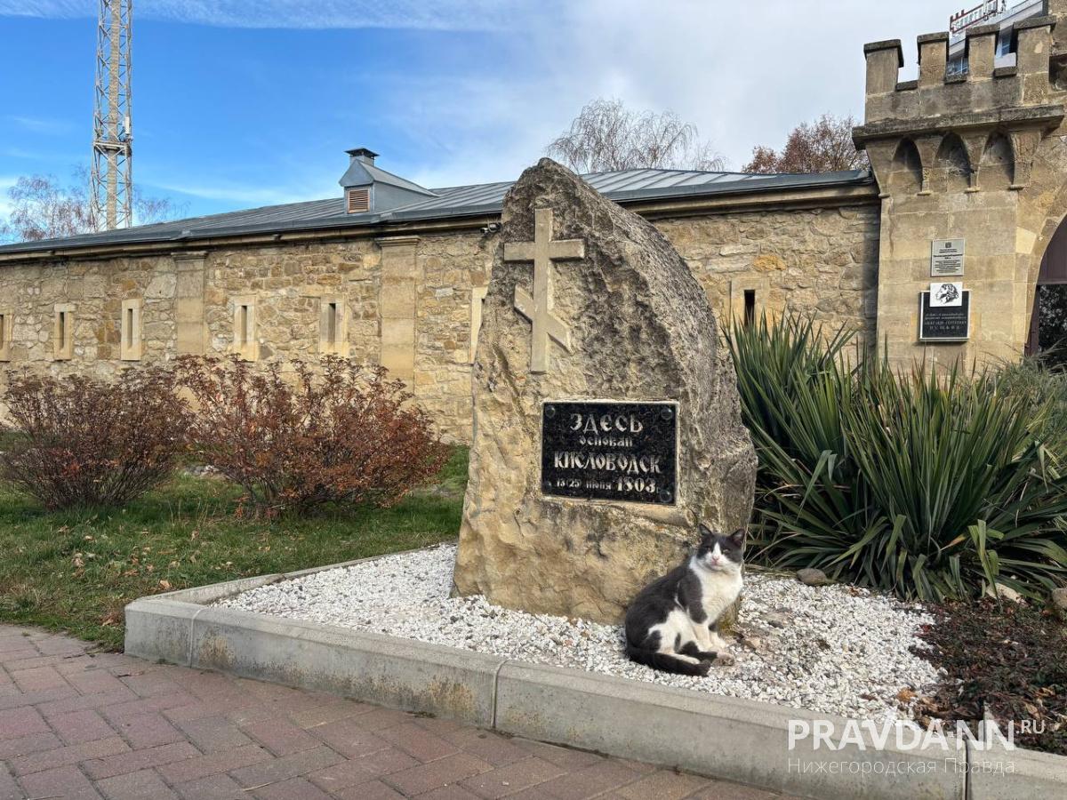 Анастасия Красушкина