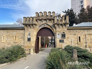 Анастасия Красушкина