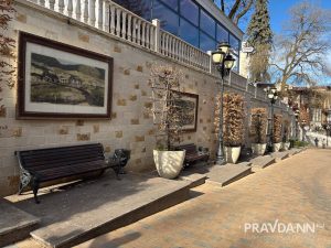 Анастасия Красушкина