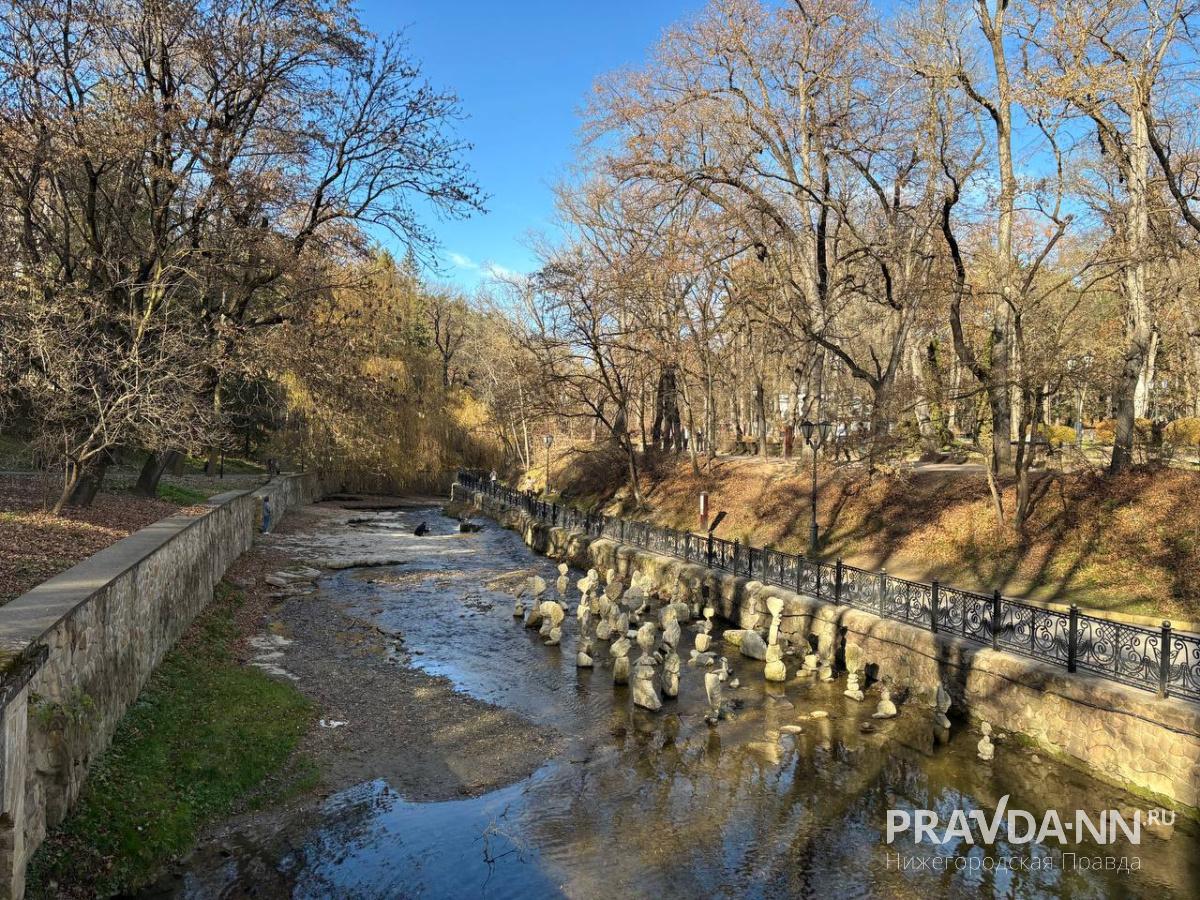 Фото: Анастасия Красушкина