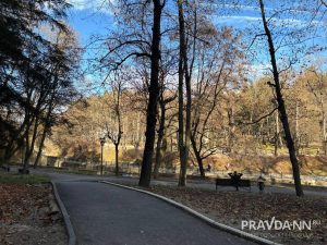 Анастасия Красушкина