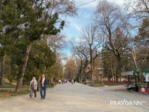 Анастасия Красушкина