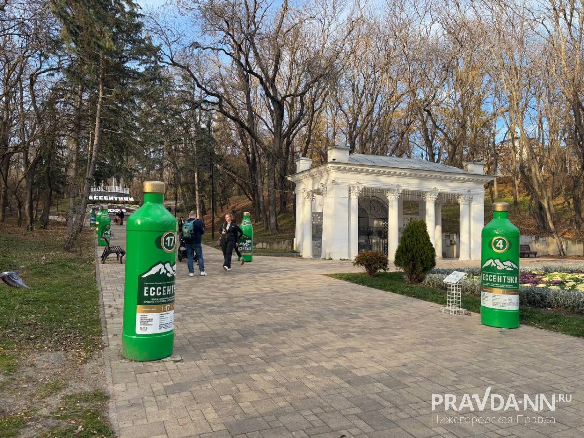 Анастасия Красушкина