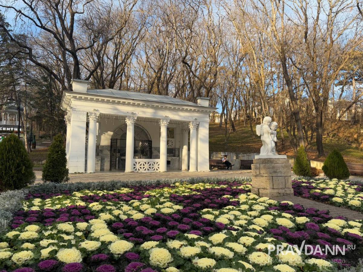 Анастасия Красушкина