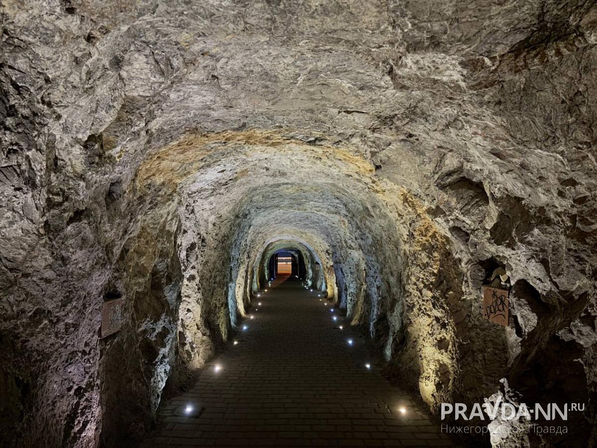 Анастасия Красушкина