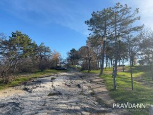 Анастасия Красушкина