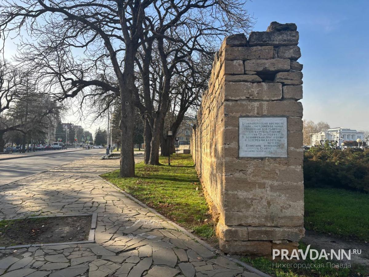 Анастасия Красушкина