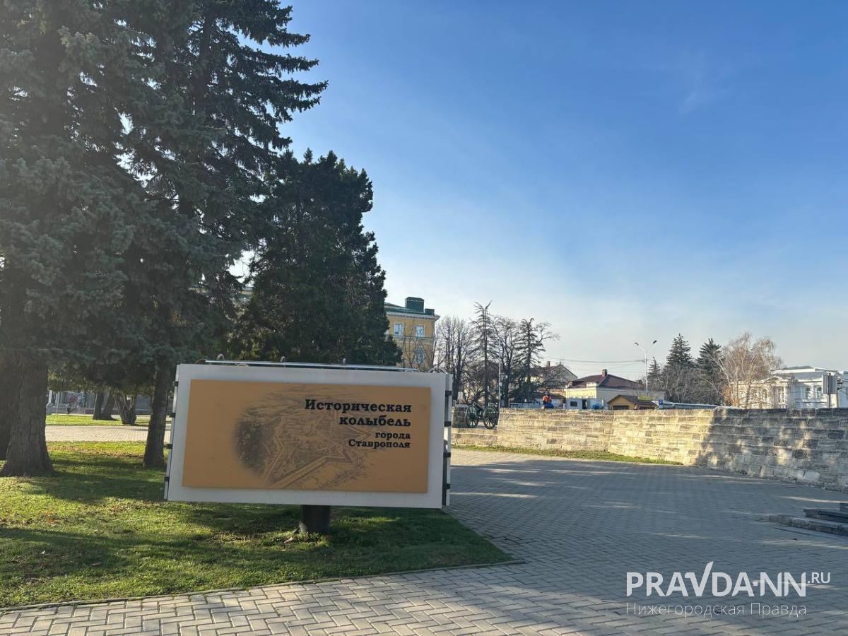 Анастасия Красушкина