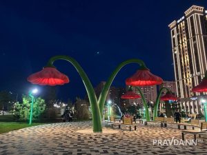 Анастасия Красушкина