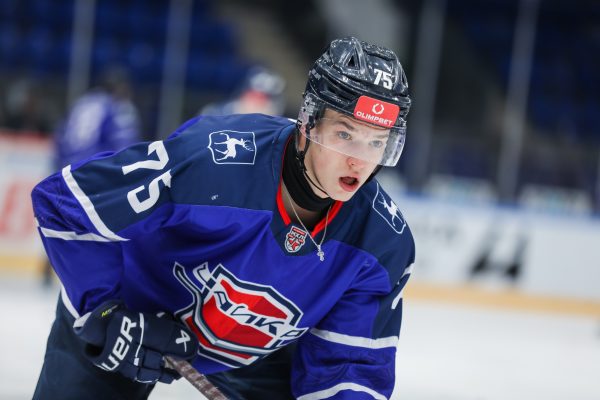 В МХЛ «Чайка» взяла реванш у «Кузнецких Медведей»