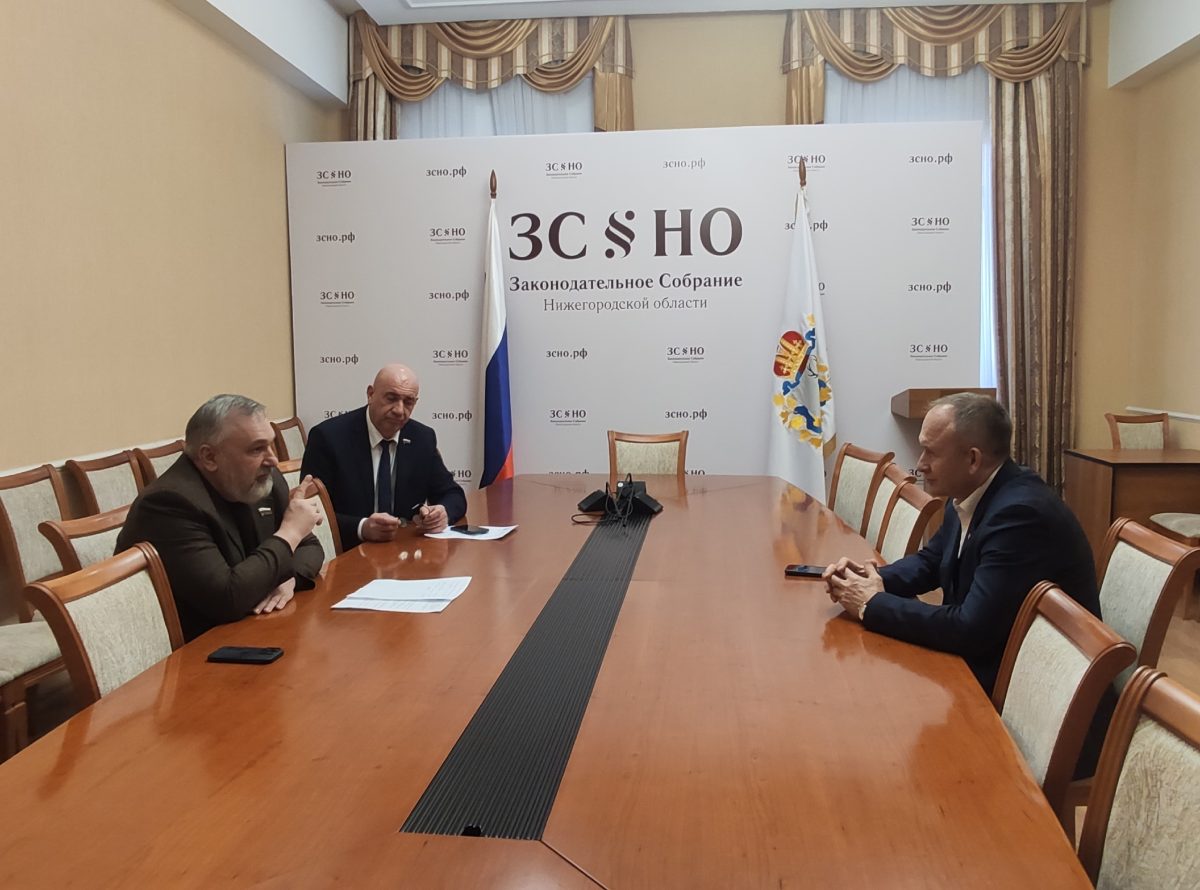 Строительство крытой арены для русского хоккея обсудили в Нижнем Новгороде