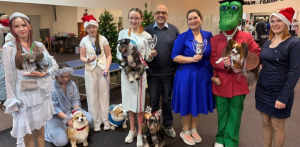 Соревнование на лучший новогодний костюм прошло на выставке собак