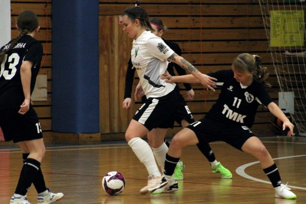 Нижегородская «Норманочка» выиграла первый матч в Екатеринбурге