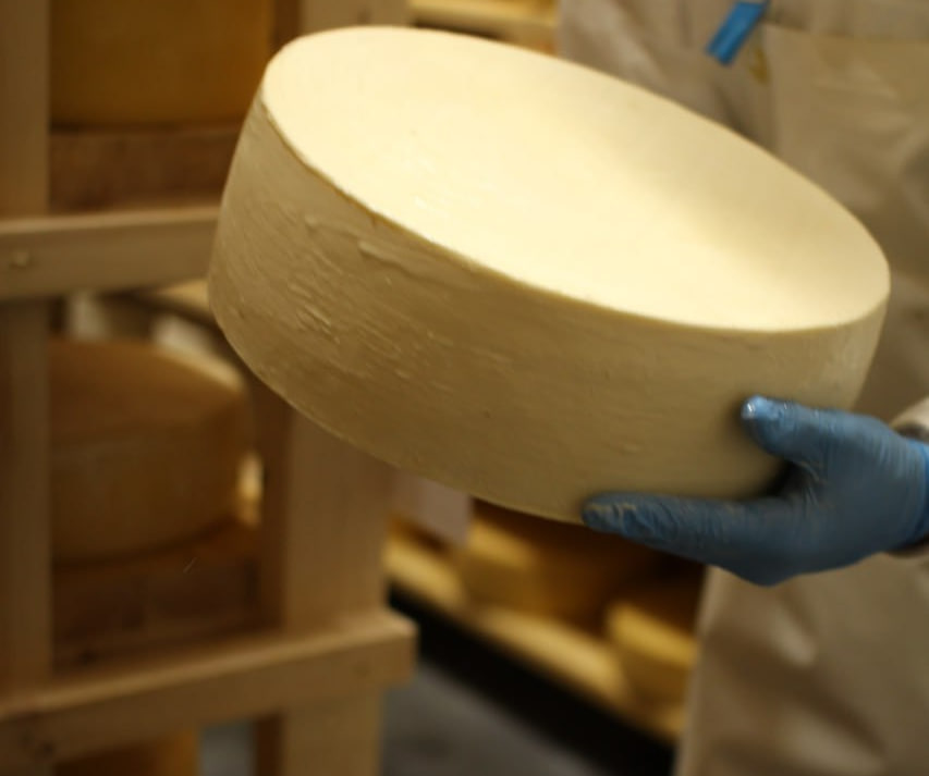 Сыродельное предприятие из Нижегородской области вступило в проект