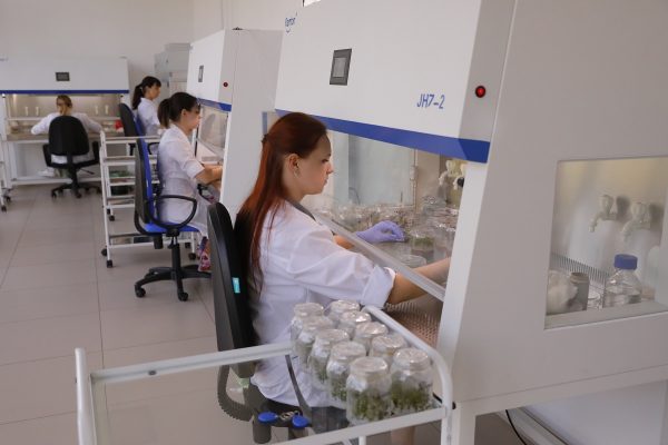 Первая профессия: как в Нижегородской области растят кадры для науки