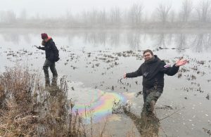 Где ты, выхухоль? Как нижегородцы изучают и сохраняют биоразнообразие региона