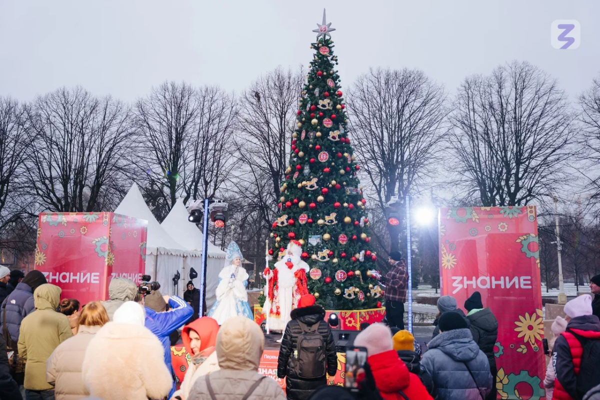 Игрушки победителей из ПФО разместили на ёлке общества «Знание»