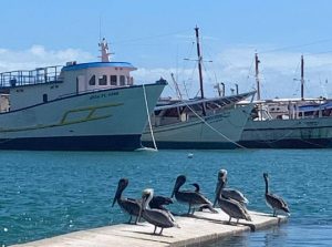 Татьяна Чинякова