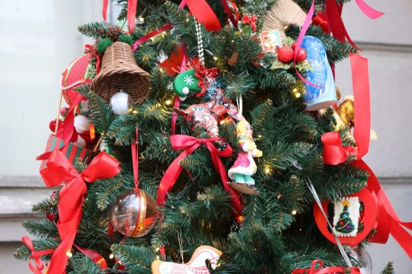 «Ёлку Нижегородского края» открыли в столице Приволжья