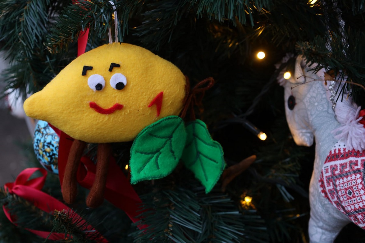 пресс-служба НРО партии «Единая Россия»