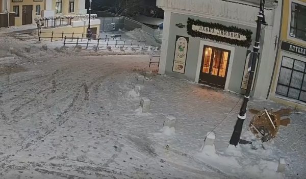 Вандал повалил новогоднюю инсталляцию в Арзамасе