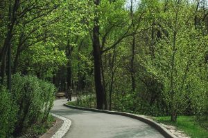 ТГ-канал главы Нижнего Новгорода Юрия Шалабаева