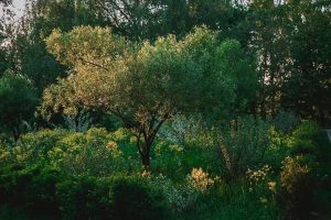 ТГ-канал главы Нижнего Новгорода Юрия Шалабаева