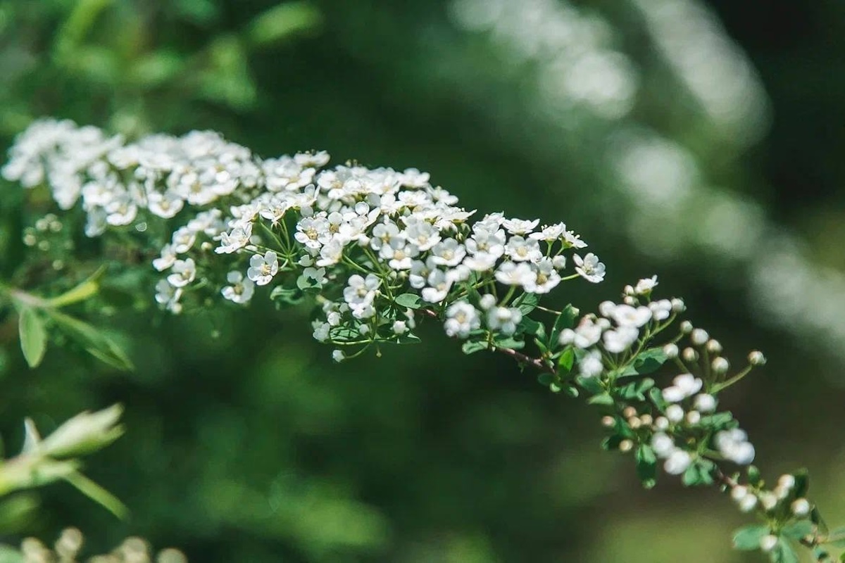 ТГ-канал главы Нижнего Новгорода Юрия Шалабаева
