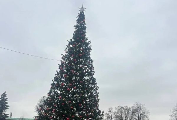 В мэрии опровергли информацию о «кривой» елке на площади Минина и Пожарского