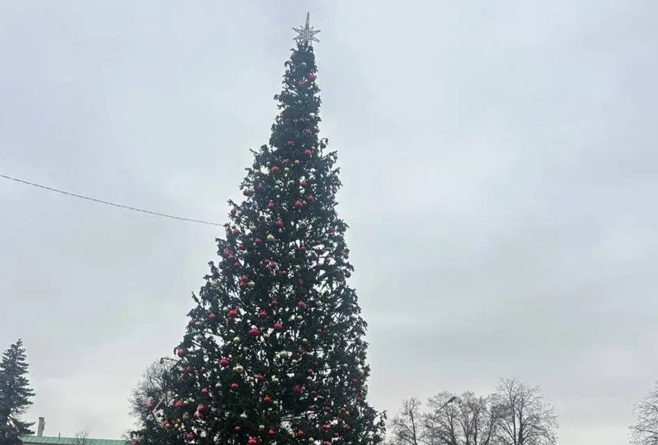 В мэрии опровергли информацию о «кривой» елке на площади Минина и Пожарского