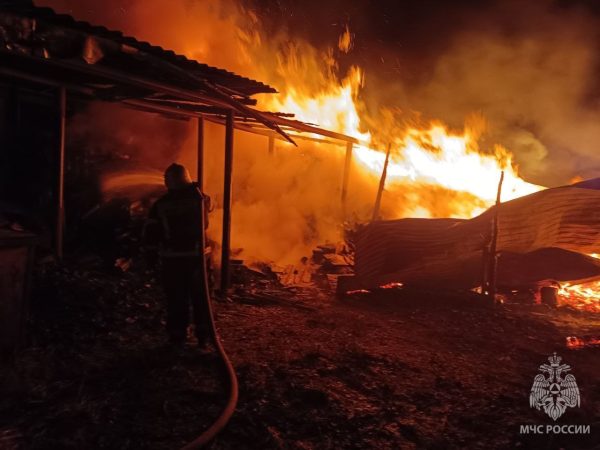 Пожарные справились с двумя пожарами в Нижегородской области