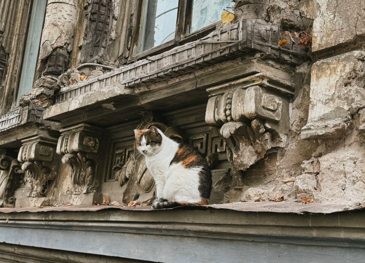 Усадьба Щелокова готовится к реконструкции