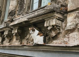 Между прошлым и будущим: какая судьба ждёт уникальную усадьбу Щелокова 